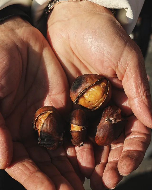 Post: hot roast chestnuts in two hands